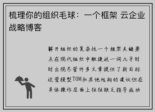 梳理你的组织毛球：一个框架 云企业战略博客