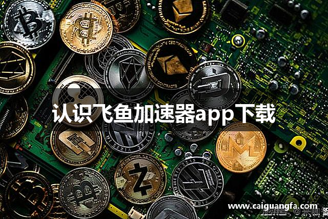 认识飞鱼加速器app下载